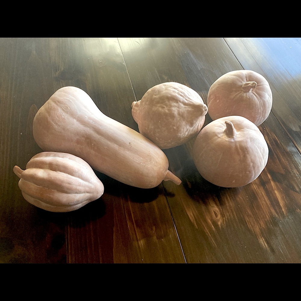 Terracotta squash and pumpkins NFS